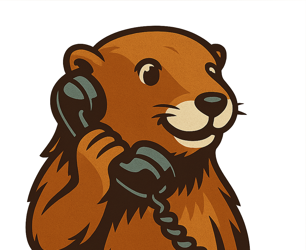 Taxi-vermeille-vtc-transport-medical-gare-aeroport-scolaire-transfert-voyage-barcelone-perpignan-66-pyrénées-orientales-chauffeur-privé