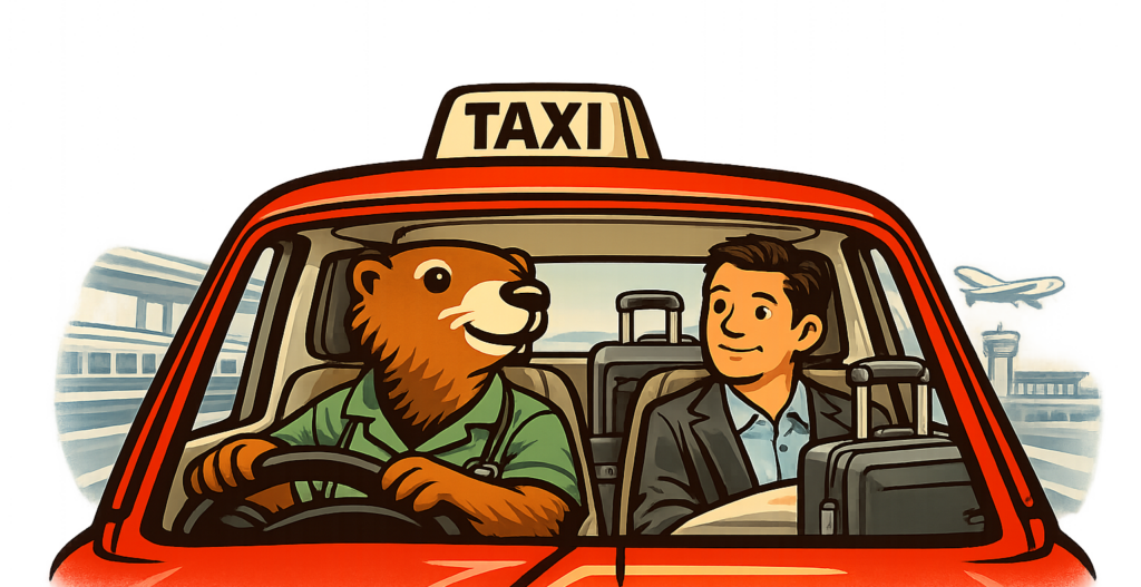 Taxi-vermeille-vtc-transport-medical-gare-aeroport-scolaire-transfert-voyage-barcelone-perpignan-66-pyreenes-orientales-chauffeur-prive