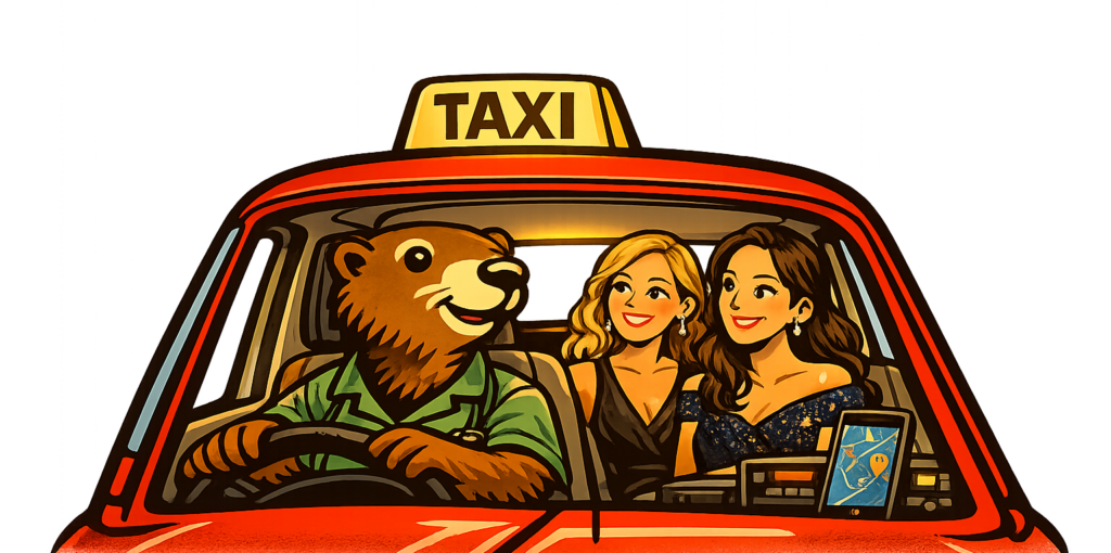 Taxi-vermeille-vtc-transport-medical-gare-aeroport-scolaire-transfert-voyage-barcelone-perpignan-66-pyreenes-orientales-chauffeur-prive