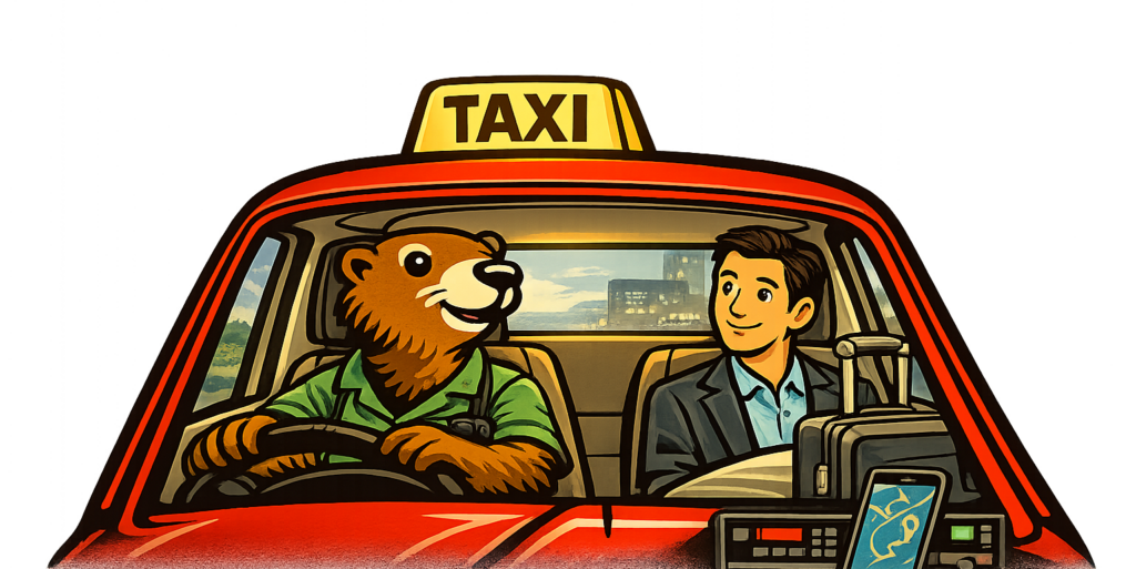 Taxi-vermeille-vtc-transport-medical-gare-aeroport-scolaire-transfert-voyage-barcelone-perpignan-66-pyreenes-orientales-chauffeur-prive