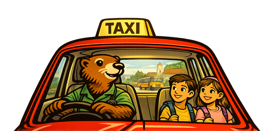 Taxi-vermeille-vtc-transport-medical-gare-aeroport-scolaire-transfert-voyage-barcelone-perpignan-66-pyreenes-orientales-chauffeur-prive