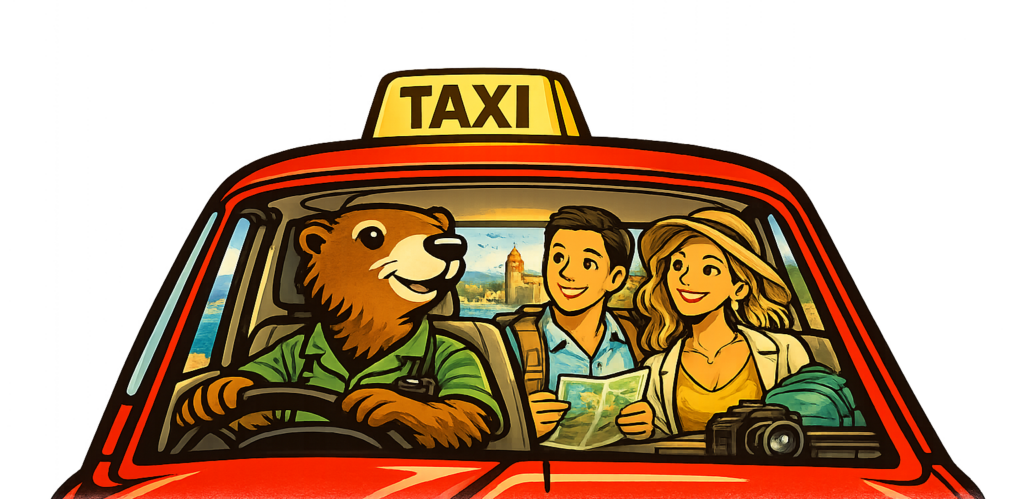 Taxi-vermeille-vtc-transport-medical-gare-aeroport-scolaire-transfert-voyage-barcelone-perpignan-66-pyreenes-orientales-chauffeur-prive