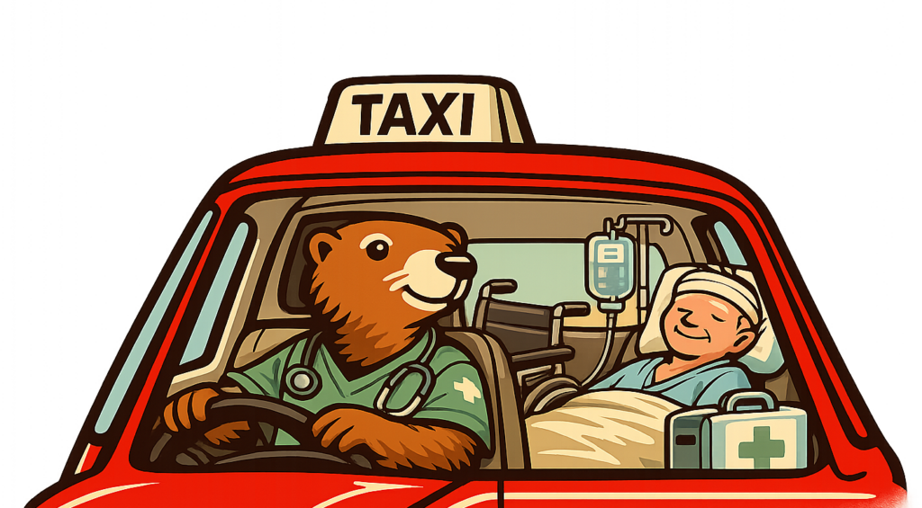 Taxi-vermeille-vtc-transport-medical-gare-aeroport-scolaire-transfert-voyage-barcelone-perpignan-66-pyreenes-orientales-chauffeur-prive